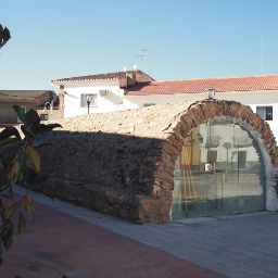 COGOLLOS 1