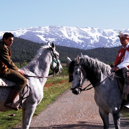 COGOLLOS 20