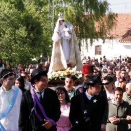 COGOLLOS 54
