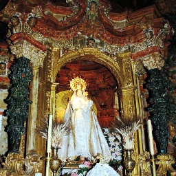 COGOLLOS 9