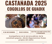 III Castañada popular en Cogollos de Guadix