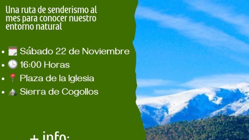 IMG-20251107-WA0009 IMG-20251107-WA0009